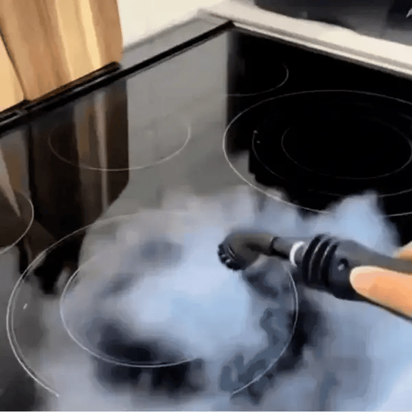 Vaporizador Limpieza Total